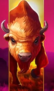 Big Wild Buffalo